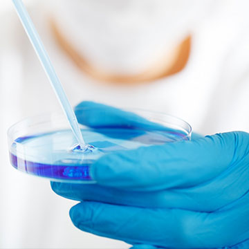 規(guī)范、品控管理